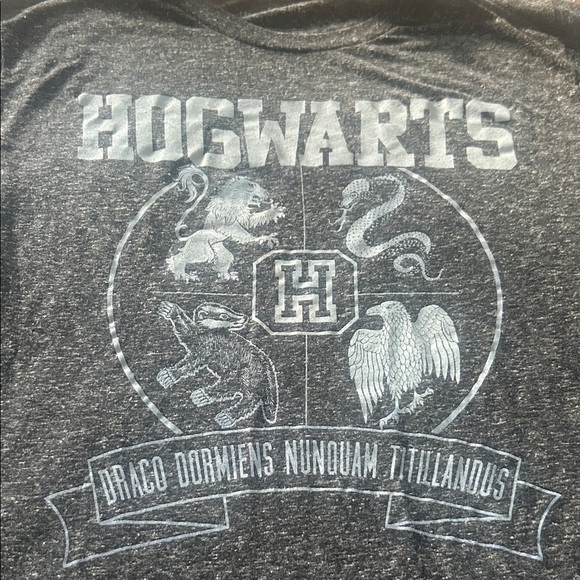 Harry Potter Hogwarts school of witchcraft and wizardry Graphic T-Shirt - Picture 2 of 4